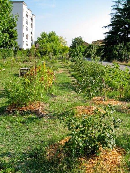 Picasso Food Forest