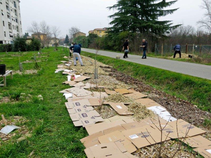 Pacciamatura con cartone, cippato e foglie