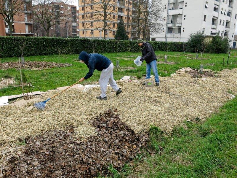 Pacciamatura con cartone, cippato e foglie