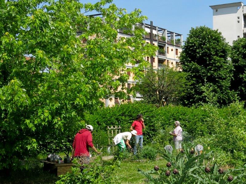 La Picasso Food Forest